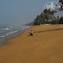 фото из отзыва ID 1474378