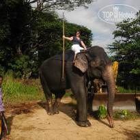 фото из отзыва ID 1474378