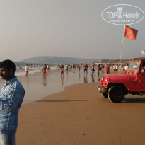 фото из отзыва ID 1474466