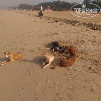 фото из отзыва ID 1474466