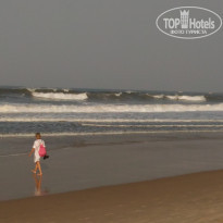 фото из отзыва ID 1474466