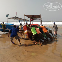 фото из отзыва ID 1474466