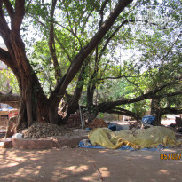 фото из отзыва ID 1474514