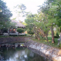 фото из отзыва ID 1474537