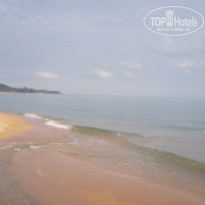 фото из отзыва ID 1474537