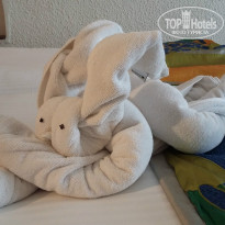 фото из отзыва ID 1474410