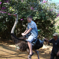 фото из отзыва ID 1474582