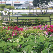 фото из отзыва ID 1474643