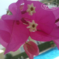 фото из отзыва ID 1474739