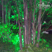 фото из отзыва ID 1474666