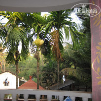 фото из отзыва ID 1475021