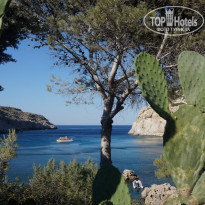 фото из отзыва ID 1475032