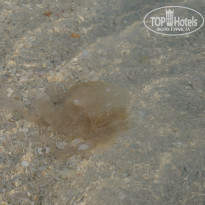 фото из отзыва ID 1475047