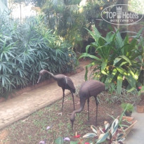 фото из отзыва ID 1474180