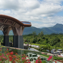 фото из отзыва ID 1475177