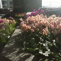 фото из отзыва ID 1475177