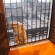 Shiva Kashi Guest House