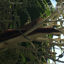 фото из отзыва ID 1475405