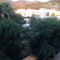 фото из отзыва ID 1475448