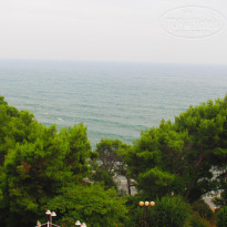 фото из отзыва ID 1475476