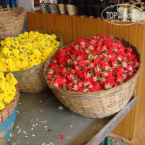 фото из отзыва ID 1475706