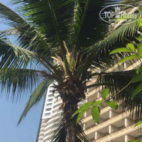 фото из отзыва ID 1475723