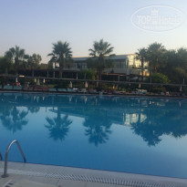 фото из отзыва ID 1475781