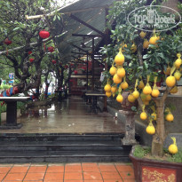 фото из отзыва ID 1475867