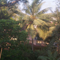 фото из отзыва ID 1475907