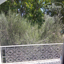 фото из отзыва ID 1476003