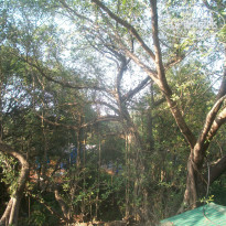 фото из отзыва ID 1475907