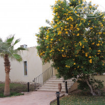 фото из отзыва ID 1476241