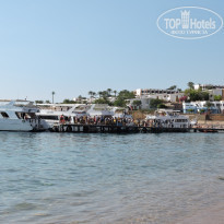 фото из отзыва ID 1476241