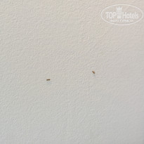 фото из отзыва ID 1476382