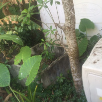 фото из отзыва ID 1476390