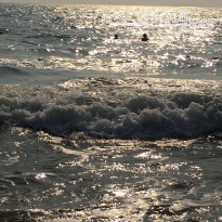 фото из отзыва ID 1476433