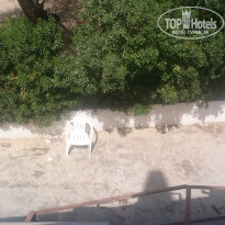 фото из отзыва ID 1476550