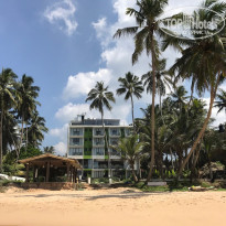 фото из отзыва ID 1476628