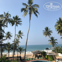 фото из отзыва ID 1476628