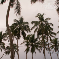 фото из отзыва ID 1476640