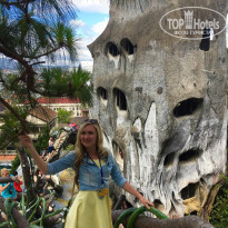 фото из отзыва ID 1476773