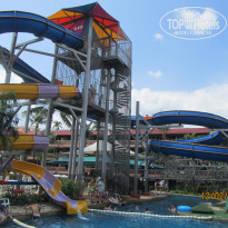 фото из отзыва ID 1476782