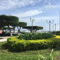 фото из отзыва ID 1476773