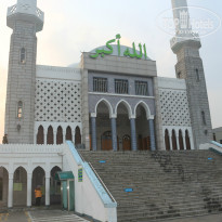 фото из отзыва ID 1476826