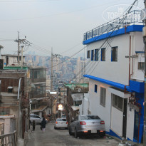 фото из отзыва ID 1476826