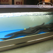 фото из отзыва ID 1476826