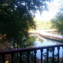 фото из отзыва ID 1476874