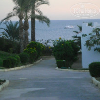 фото из отзыва ID 1476899