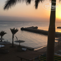 фото из отзыва ID 1476954