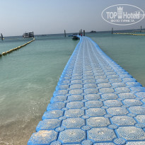 фото из отзыва ID 1477021